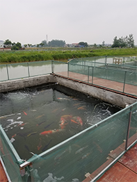 4d08e42ccf6103d523715bfc6dbf16a