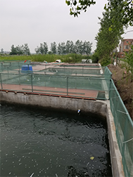 61812e4b49930a0e04f377553f83427