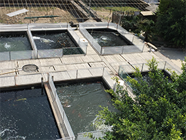 bf7299f6fa5d682e84e3e58f3aa79f0