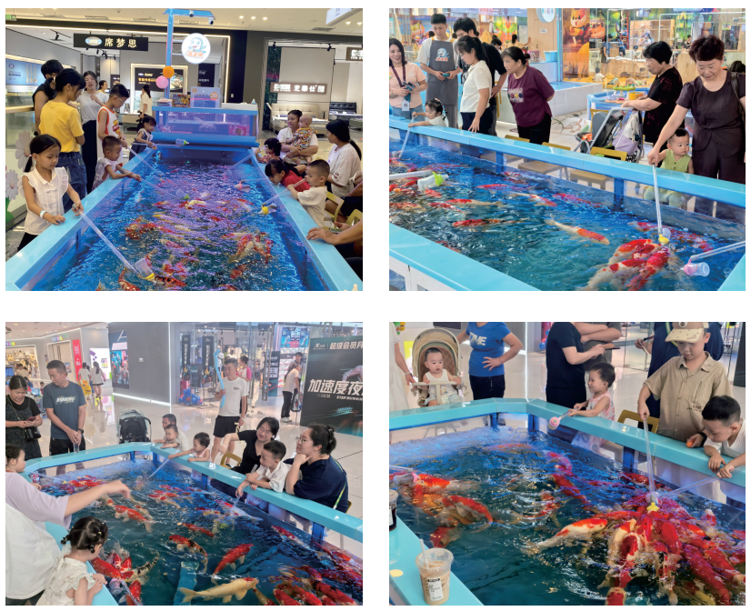 大有溜溜鱼项目介绍